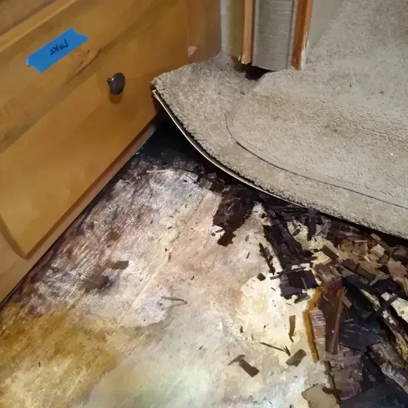 Wood Floor Water Damage in Manchester, WI